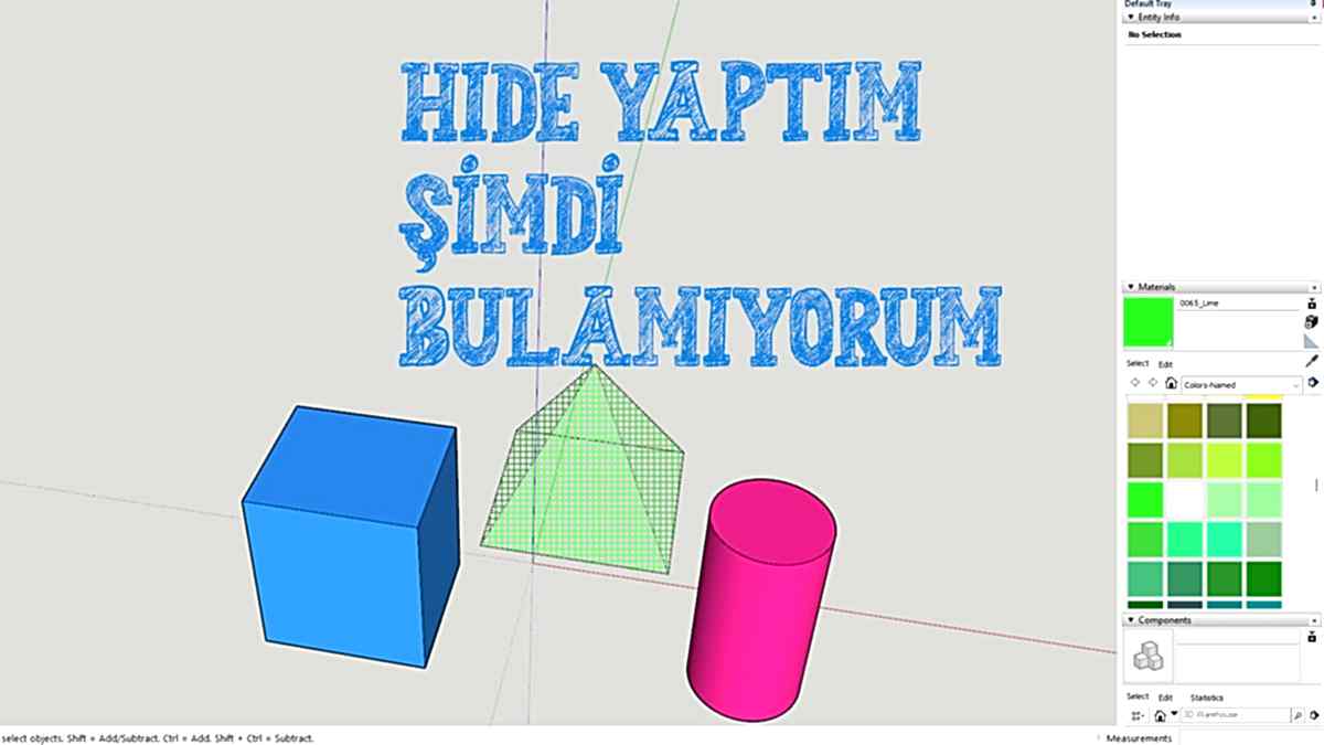 SketchUp Hide