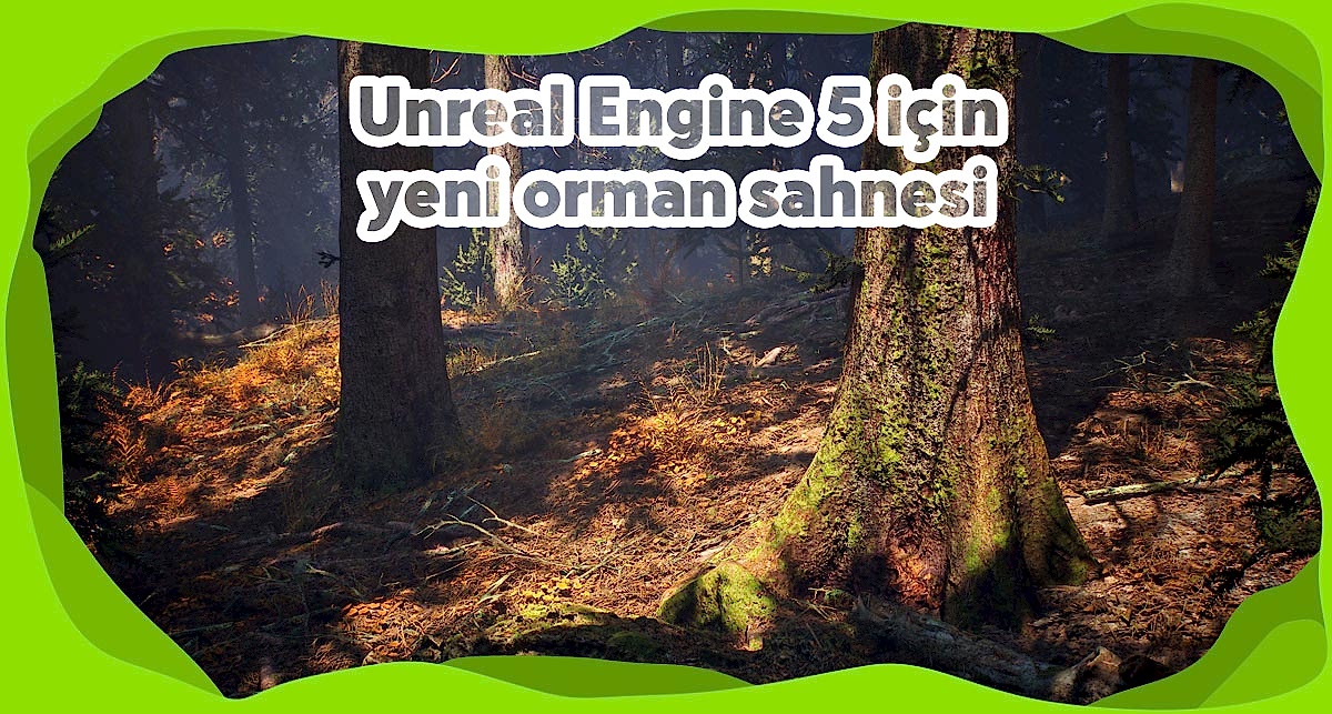 Unreal Engine 5 Orman Sahnesi